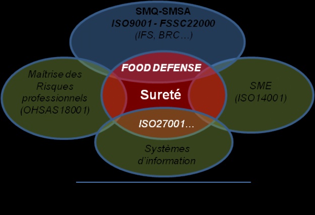 visuel actu en bref