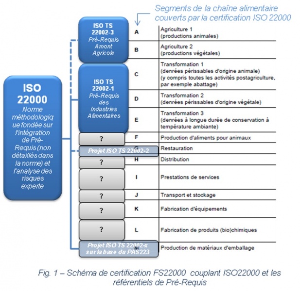 visuel actu en bref