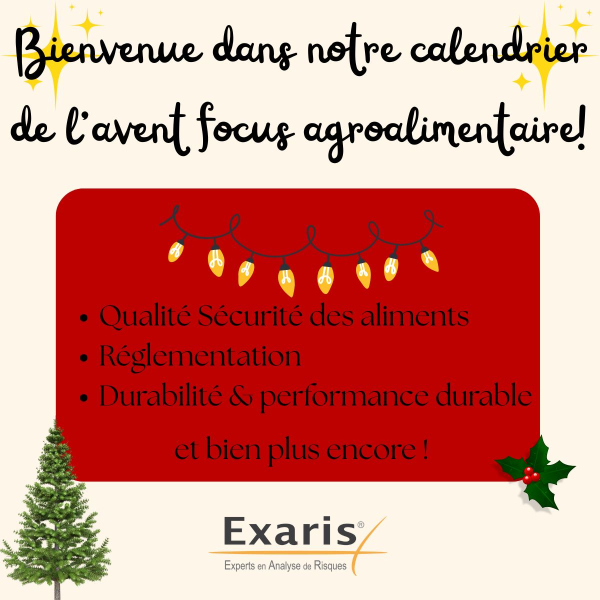 Calendrier de l'Avent - Nol 2025 - Semaine 01