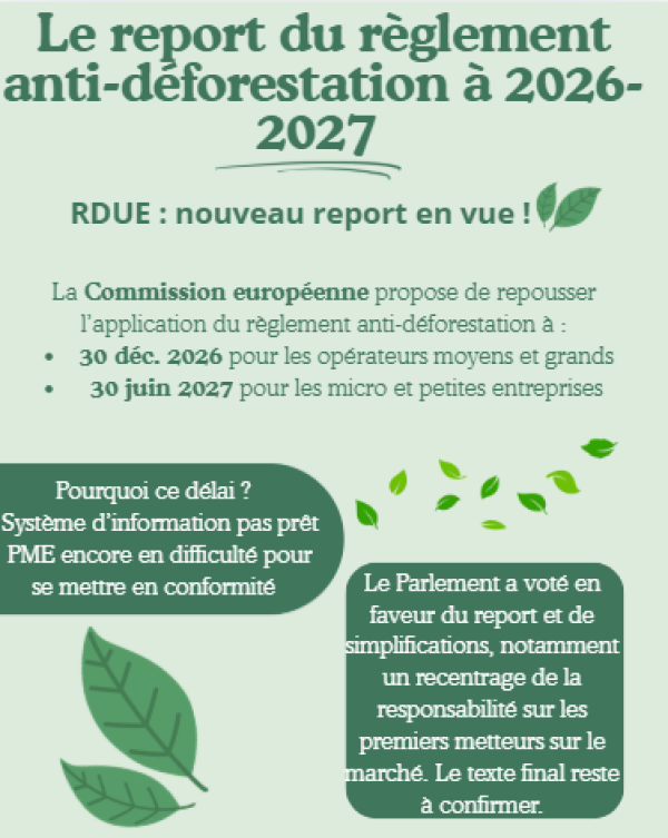Calendrier de l'avent - Noel 2025 - Semaine 04